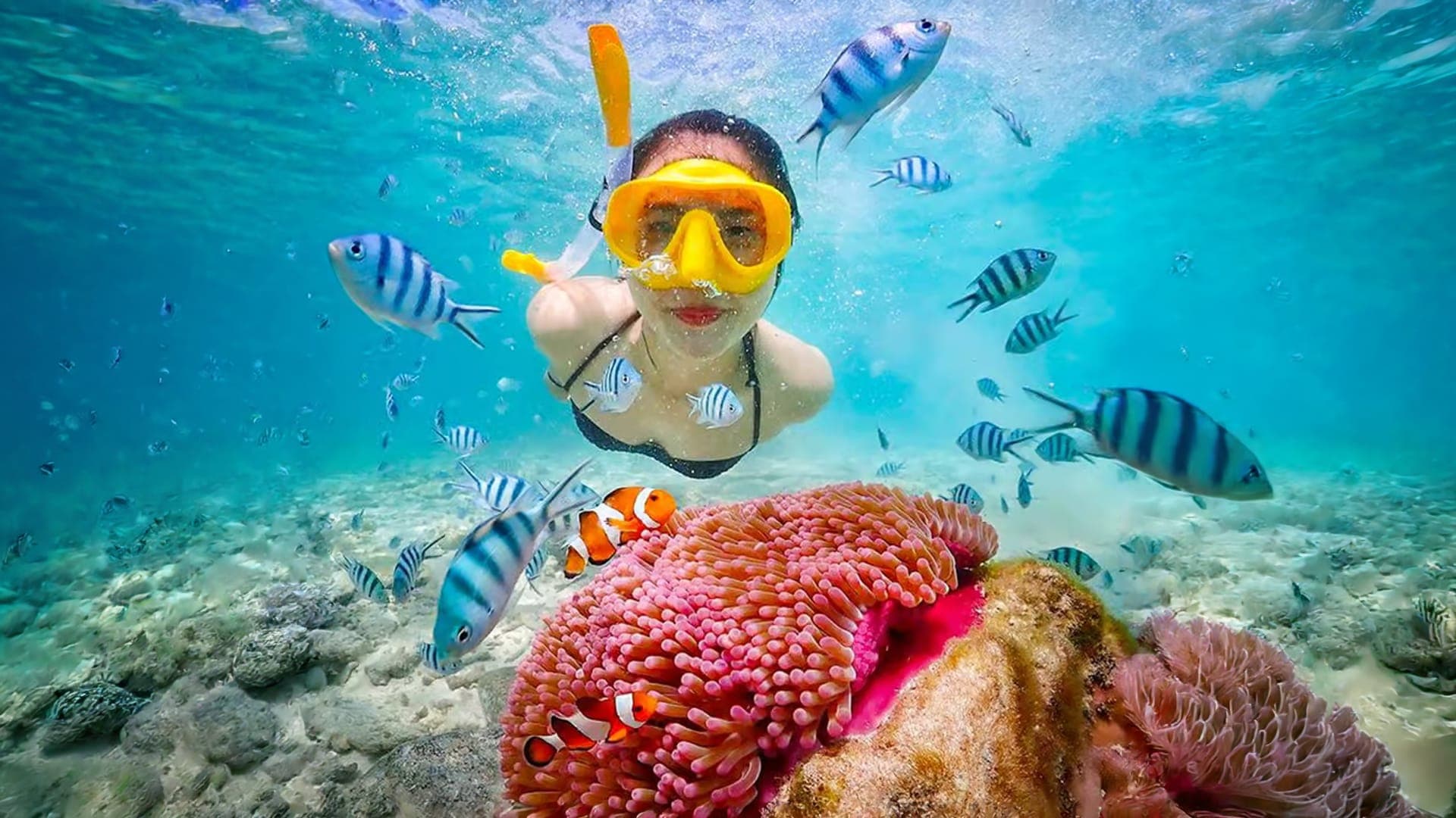 Half Day tour in Maafushi, Maldives