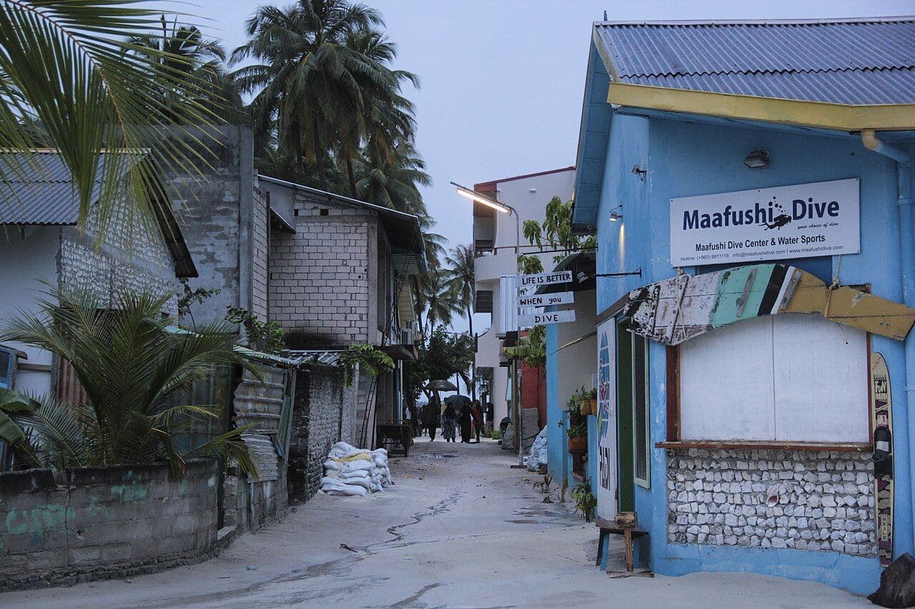 A sandy street in Maafushi village lined with palm trees and painted shopfronts